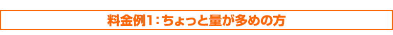 料金例1：ちょっと量が多めの方