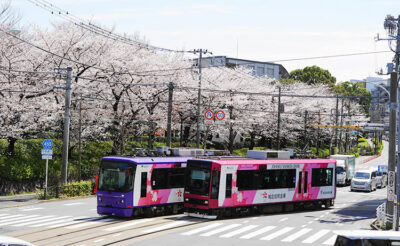 北区で粗大ごみやエアコン・テレビ・洗濯機・冷蔵庫など家電や家具を処分する方法