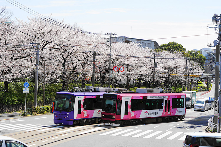 北区で粗大ごみやエアコン・テレビ・洗濯機・冷蔵庫など家電や家具を処分する方法