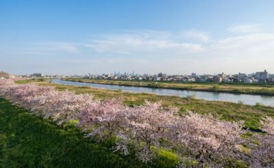 市川市で粗大ごみ・冷蔵庫・洗濯機・テレビ・エアコンを処分する方法【2026年最新】