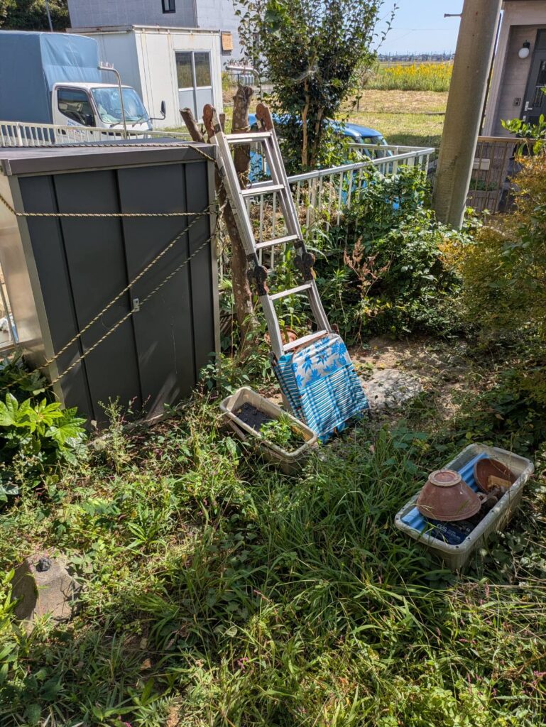 東金市山口の戸建て 作業前の庭。物置やはしご、プランターが残っている