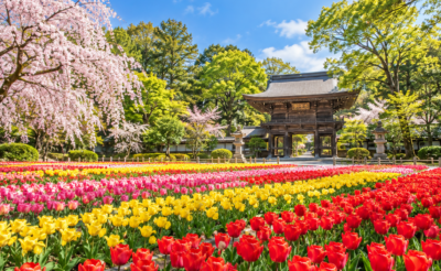 三芳町粗大ごみ処分